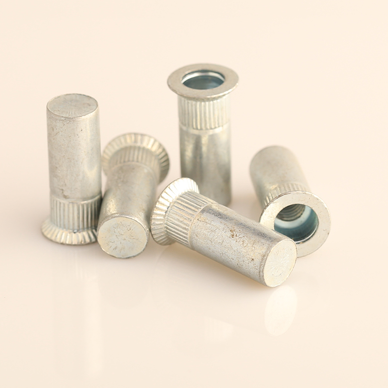 steel threaded inserts rivnut round rivet nut Rivet manufacturer