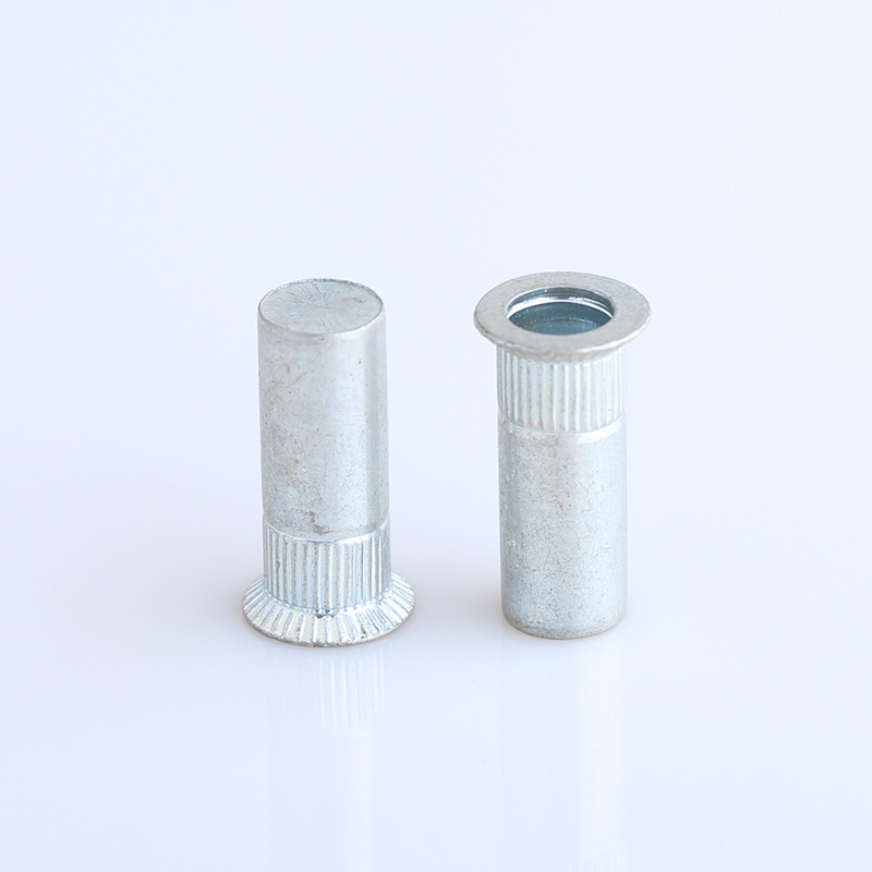 steel threaded inserts rivnut round rivet nut Rivet manufacturer